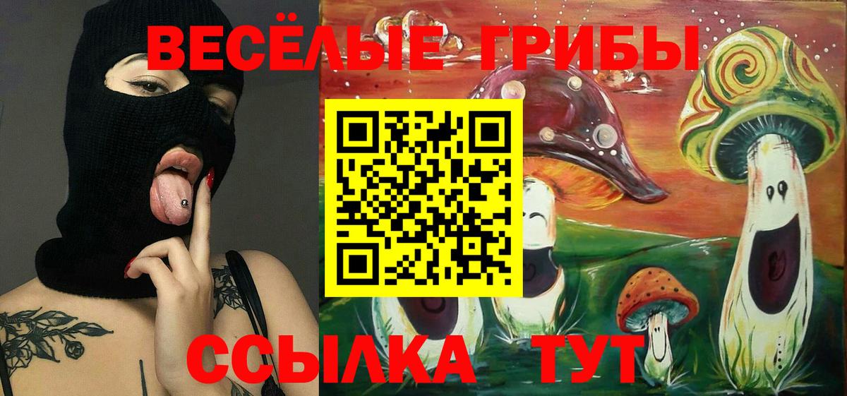 Галлюциногенные грибы MAGIC MUSHROOMS Сунжа
