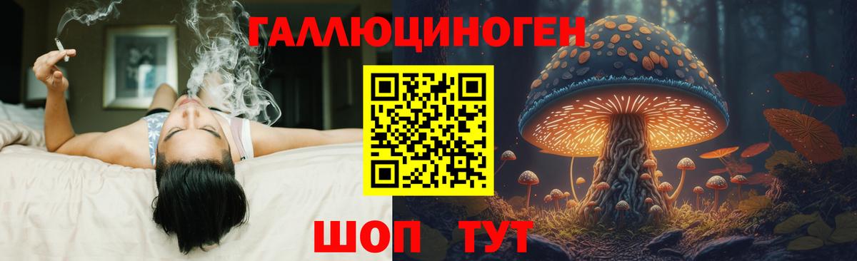 Сунжа  Псилоцибиновые грибы Cubensis  Вход с VPN 