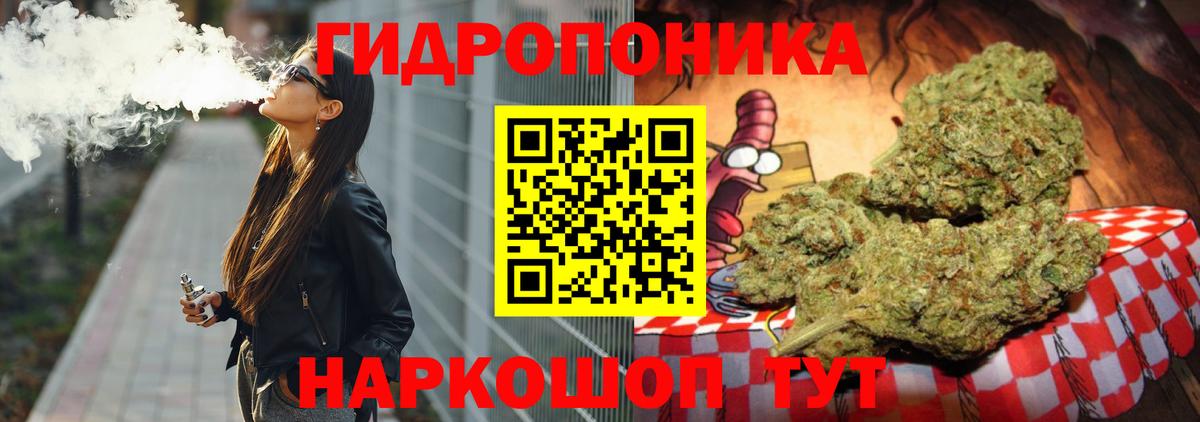 Бошки Шишки тримм Сунжа